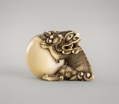 Lot 1353 - AN IVORY NETSUKE OF A SNARLING SHISHI WITH BALL