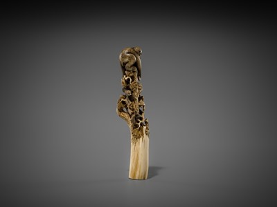 Lot 530 - AN AMUSING ANTLER CANE HANDLE OF MONKEYS AND BIRDS ON A PINE TREE