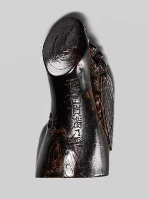 Lot 170 - KANMAN: A FINE UMIMATSU (SEA PINE) NETSUKE OF A CICADA ON A BRANCH