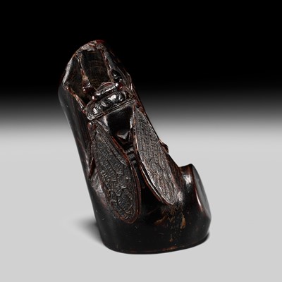 Lot 170 - KANMAN: A FINE UMIMATSU (SEA PINE) NETSUKE OF A CICADA ON A BRANCH
