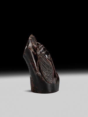 Lot 170 - KANMAN: A FINE UMIMATSU (SEA PINE) NETSUKE OF A CICADA ON A BRANCH