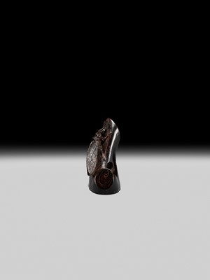 Lot 170 - KANMAN: A FINE UMIMATSU (SEA PINE) NETSUKE OF A CICADA ON A BRANCH