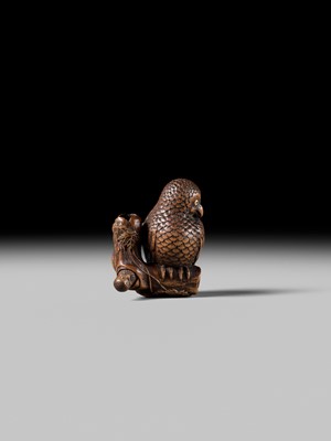 Lot 180 - A FINE NAGOYA SCHOOL WOOD NETSUKE OF AN OWL WITH MOVABLE OWLET