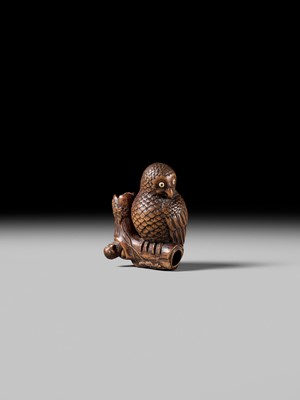 Lot 180 - A FINE NAGOYA SCHOOL WOOD NETSUKE OF AN OWL WITH MOVABLE OWLET