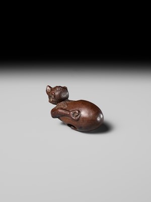 MINKO: A RARE AND UNUSUAL WOOD NETSUKE OF A HATCHING TENGU (TENGU NO TOMAGO)