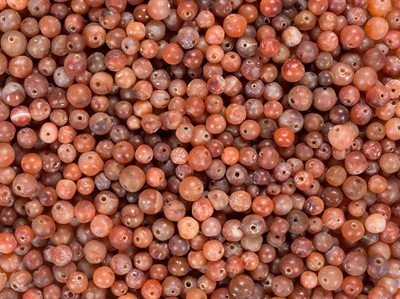 Lot 1074 - A LOT WITH 860!! PYU CARNELIAN AGATE BEADS