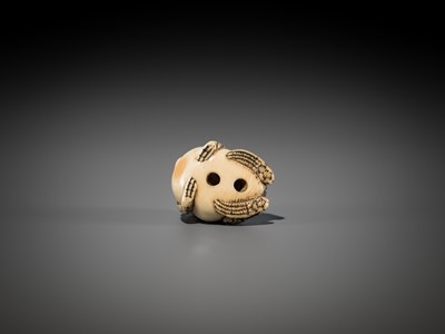 Lot 362 - AN OSAKA SCHOOL IVORY NETSUKE OF GAMA SENNIN ON A HUGE TOAD