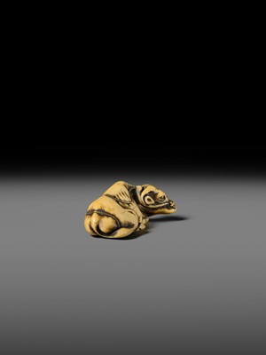A GOOD KYOTO SCHOOL IVORY NETSUKE OF A RECUMBENT OX