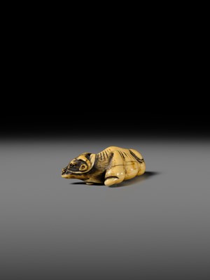 A GOOD KYOTO SCHOOL IVORY NETSUKE OF A RECUMBENT OX