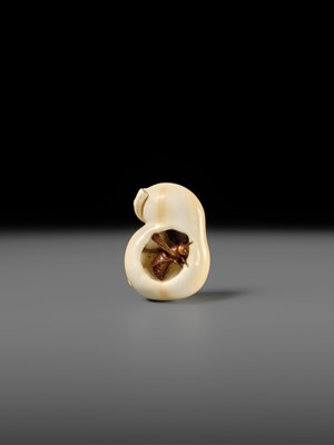 Lot 436 - CHOKUSAI: A FINE IVORY NETSUKE OF A WASP IN A GOURD