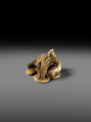 Lot 165 - RANTEI: A SUPERB AND LARGE IVORY NETSUKE OF A COCKEREL WITH TWO HENS AND YOUNG