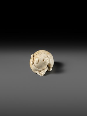 Lot 162 - KAIGYOKUSAI MASATSUGU: A SUPERB IVORY NETSUKE OF A PUPPY