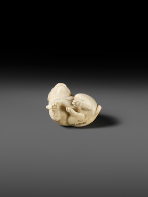 Lot 162 - KAIGYOKUSAI MASATSUGU: A SUPERB IVORY NETSUKE OF A PUPPY