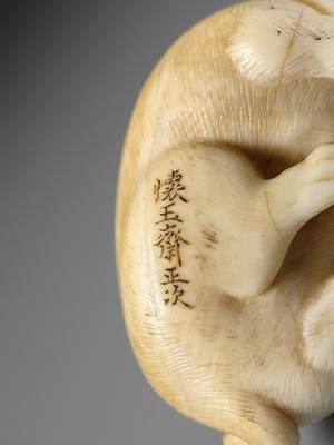 Lot 162 - KAIGYOKUSAI MASATSUGU: A SUPERB IVORY NETSUKE OF A PUPPY