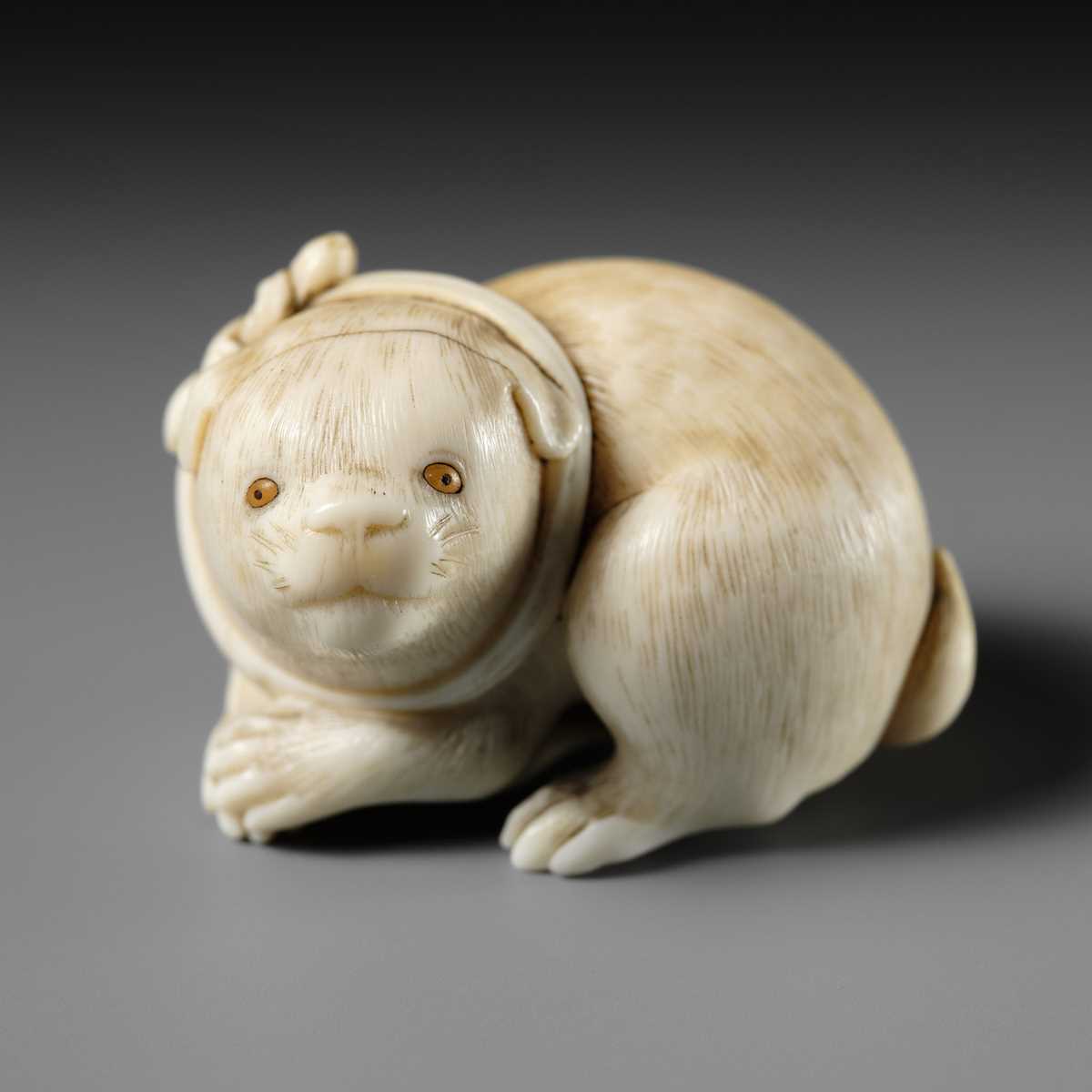 Lot 162 - KAIGYOKUSAI MASATSUGU: A SUPERB IVORY NETSUKE OF A PUPPY