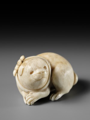 Lot 162 - KAIGYOKUSAI MASATSUGU: A SUPERB IVORY NETSUKE OF A PUPPY
