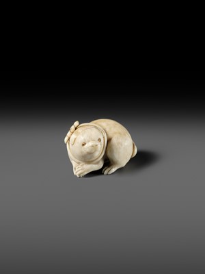 Lot 162 - KAIGYOKUSAI MASATSUGU: A SUPERB IVORY NETSUKE OF A PUPPY