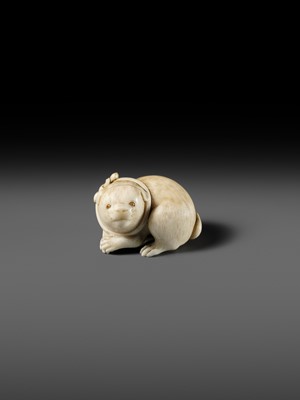 Lot 162 - KAIGYOKUSAI MASATSUGU: A SUPERB IVORY NETSUKE OF A PUPPY