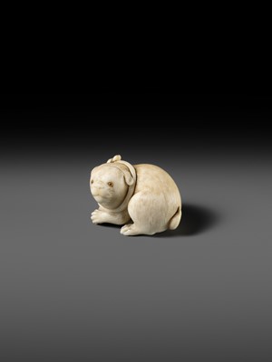 Lot 162 - KAIGYOKUSAI MASATSUGU: A SUPERB IVORY NETSUKE OF A PUPPY