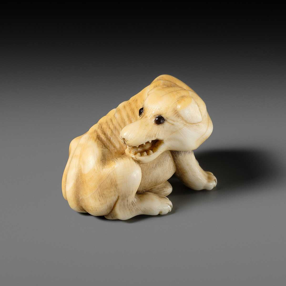 Lot 137 - A KYOTO SCHOOL IVORY NETSUKE OF AN EMACIATED WOLF