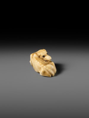 Lot 137 - A KYOTO SCHOOL IVORY NETSUKE OF AN EMACIATED WOLF