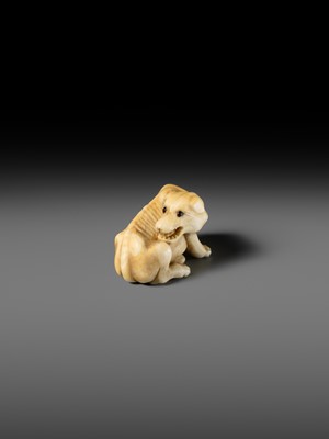 Lot 137 - A KYOTO SCHOOL IVORY NETSUKE OF AN EMACIATED WOLF
