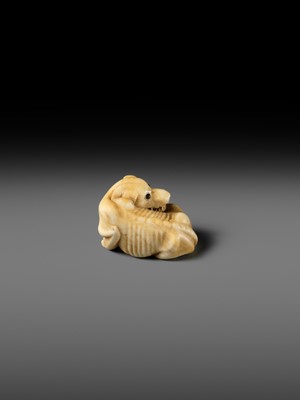 Lot 137 - A KYOTO SCHOOL IVORY NETSUKE OF AN EMACIATED WOLF