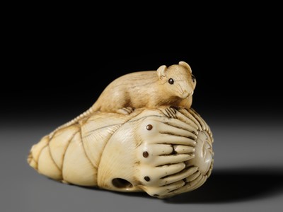 Lot 138 - A CHARMING KYOTO SCHOOL IVORY NETSUKE OF A RAT ON A BAMBOO SHOOT