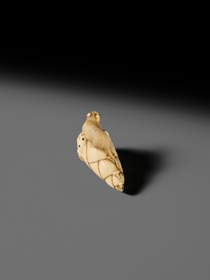 Lot 138 - A CHARMING KYOTO SCHOOL IVORY NETSUKE OF A RAT ON A BAMBOO SHOOT