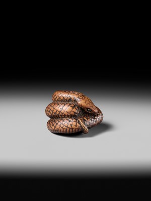 Lot 182 - A LARGE EARLY NAGOYA SCHOOL WOOD NETSUKE OF A SNAKE