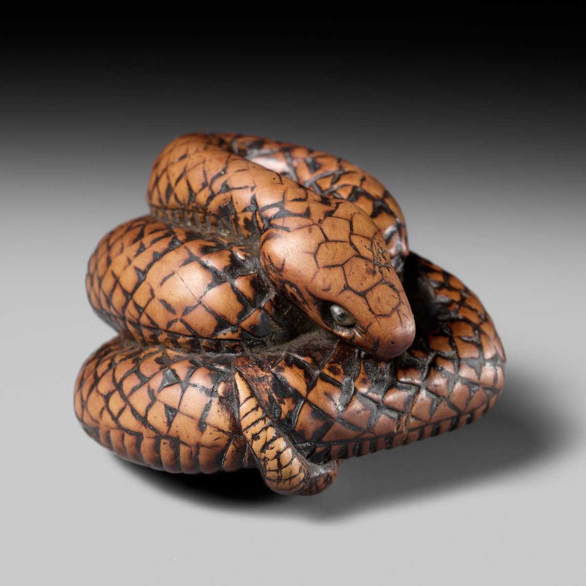 Lot 182 - A LARGE EARLY NAGOYA SCHOOL WOOD NETSUKE OF A SNAKE