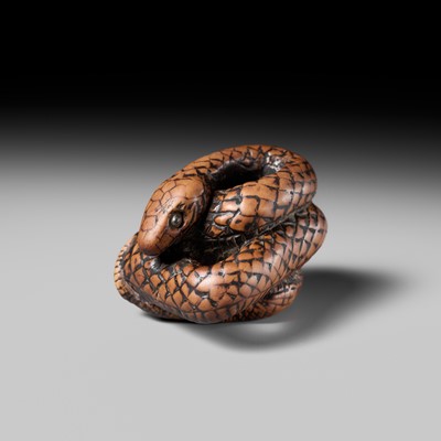 Lot 182 - A LARGE EARLY NAGOYA SCHOOL WOOD NETSUKE OF A SNAKE