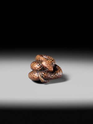 Lot 182 - A LARGE EARLY NAGOYA SCHOOL WOOD NETSUKE OF A SNAKE