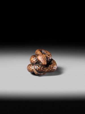 Lot 182 - A LARGE EARLY NAGOYA SCHOOL WOOD NETSUKE OF A SNAKE
