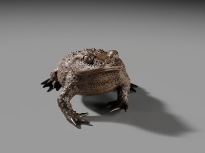 Lot 171 - A RARE YIXING FIGURE OF A TOAD, SIGNED CHEN MINGYUAN, EARLY QING DYNASTY