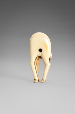 Lot 499 - AN IVORY NETSUKE OF A GRAZING HORSE