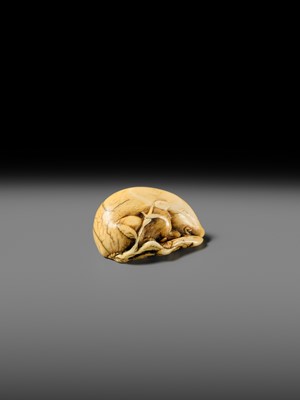 Lot 158 - A FINE KYOTO SCHOOL IVORY NETSUKE OF A BOAR RESTING ON AUTUMN PLANTS