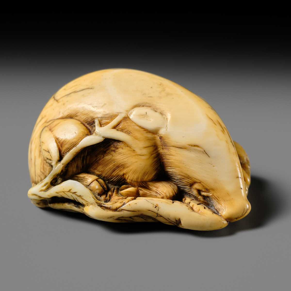 Lot 158 - A FINE KYOTO SCHOOL IVORY NETSUKE OF A BOAR RESTING ON AUTUMN PLANTS