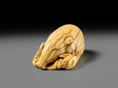Lot 158 - A FINE KYOTO SCHOOL IVORY NETSUKE OF A BOAR RESTING ON AUTUMN PLANTS