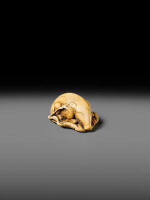 Lot 158 - A FINE KYOTO SCHOOL IVORY NETSUKE OF A BOAR RESTING ON AUTUMN PLANTS