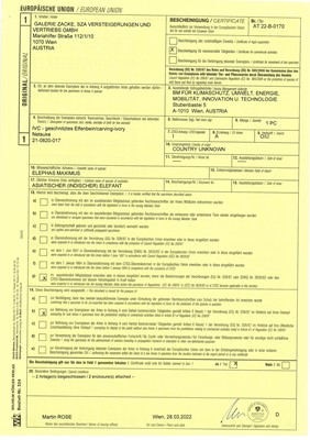 Lot 350 - AN IVORY NETSUKE OF A PEARL DIVER