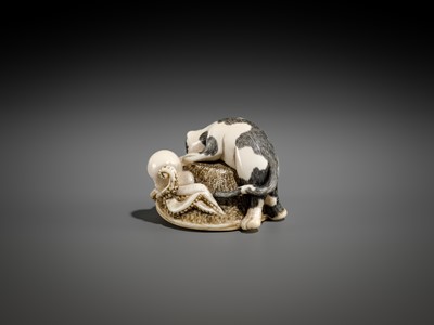 Lot 471 - AN IVORY NETSUKE OF A CAT AND OCTOPUS