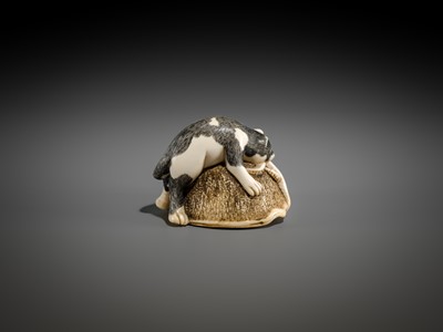 Lot 471 - AN IVORY NETSUKE OF A CAT AND OCTOPUS