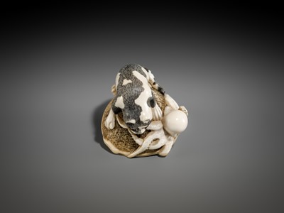 Lot 471 - AN IVORY NETSUKE OF A CAT AND OCTOPUS