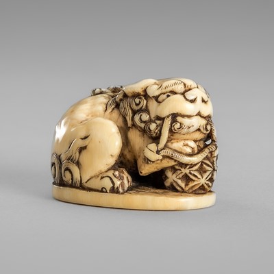 Lot 1560 - A FINE IVORY NETSUKE OF A SHISHI WITH BALL