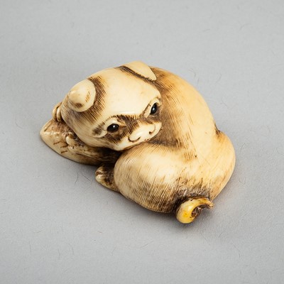 Lot 1544 - AN IVORY NETSUKE OF A RECLINING PUPPY WITH AWABI, 19th CENTURY
