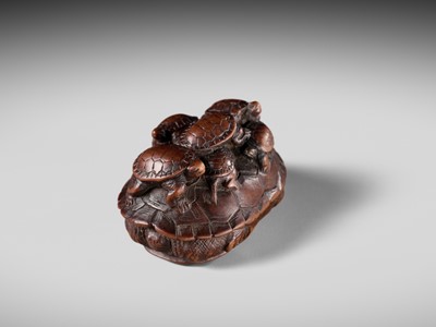MINKO: A RARE WOOD NETSUKE OF A TURTLE WITH SIX YOUNG