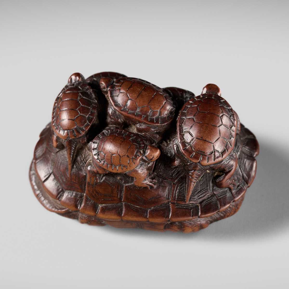 MINKO: A RARE WOOD NETSUKE OF A TURTLE WITH SIX YOUNG