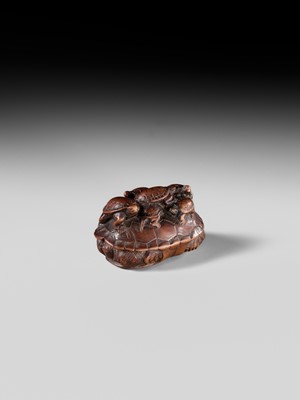 MINKO: A RARE WOOD NETSUKE OF A TURTLE WITH SIX YOUNG