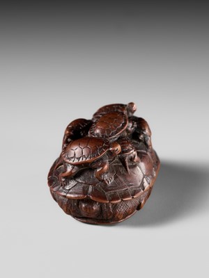 MINKO: A RARE WOOD NETSUKE OF A TURTLE WITH SIX YOUNG